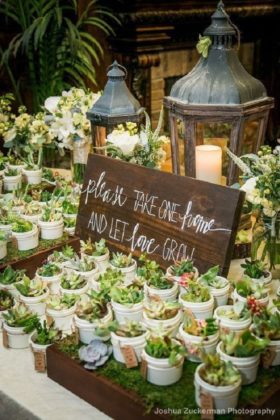 Plant give away with old lanterns