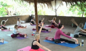 Why Goa is The Yoga Enthusiast Paradise