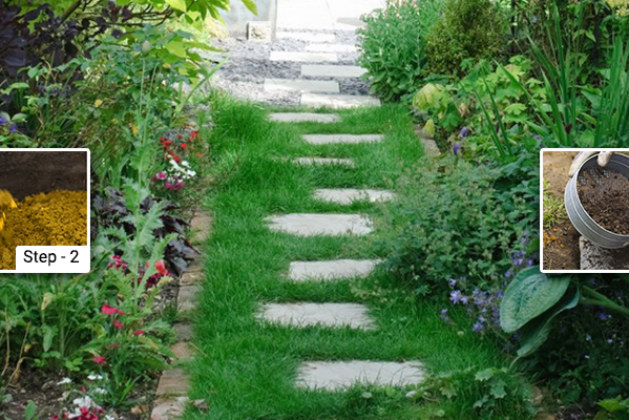 How To Install Stepping Stones In Your Backyard