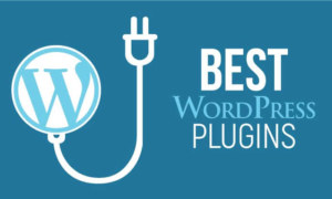 Which Are The 5 Best Plugins For Your E-Commerce WordPress Website?