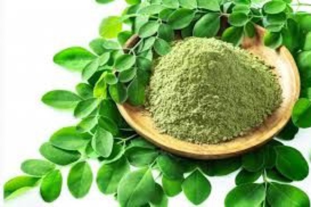 What Are The Health Benefits Of Moringa?