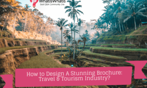 How to Design A Stunning Brochure: Travel & Tourism Industry?