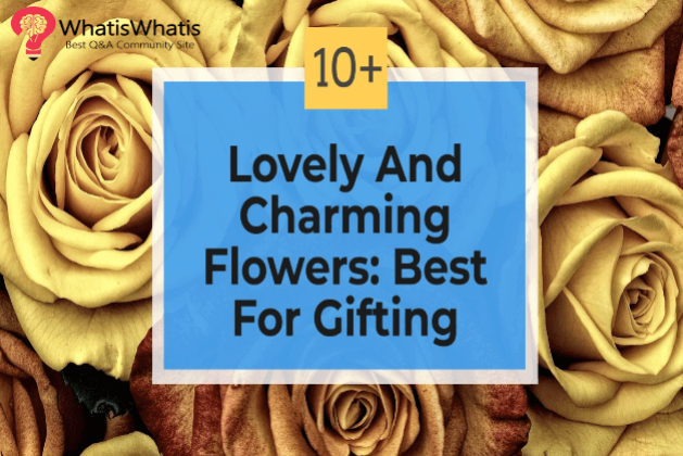 10+ Lovely And Charming Flowers: Best For Gifting