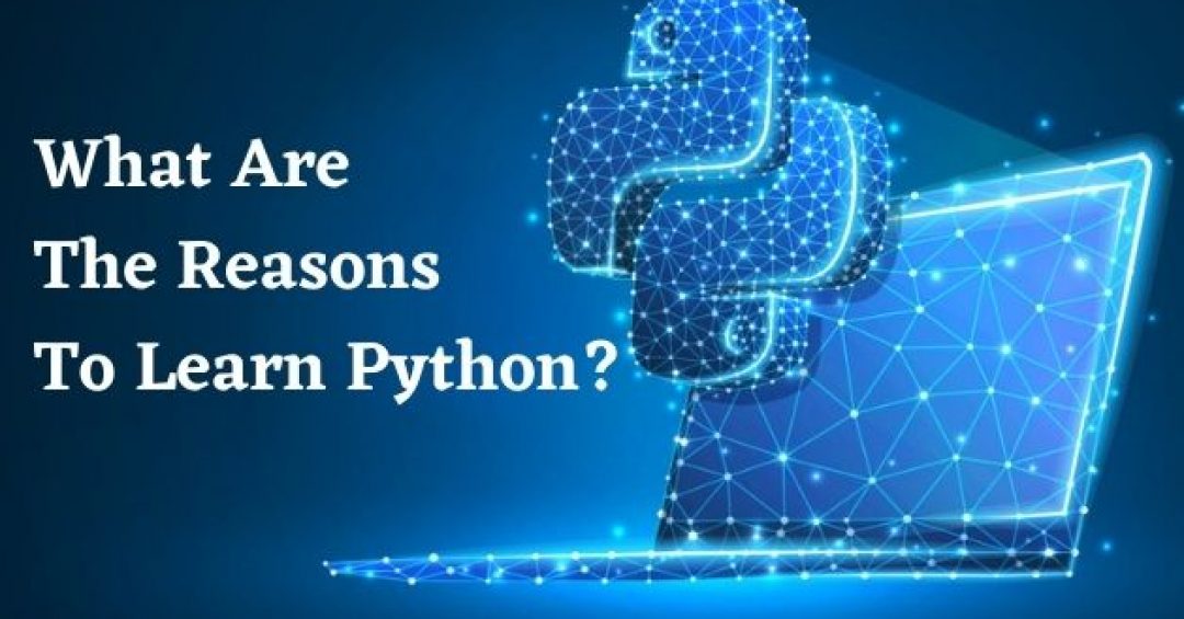 What Are The Reasons To Learn Python?