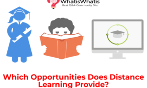 Which Opportunities Does Distance Learning Provide?