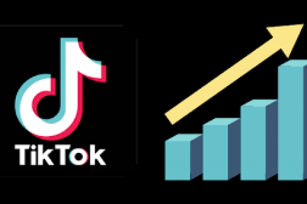 Social Media Marketing: How To Use TikTok For Business Marketing
