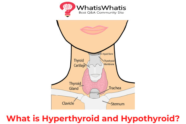 What is Hyperthyroid and Hypothyroid?