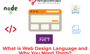 What is Web Design Language and Why You Need Them?