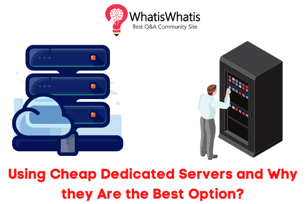 Using Cheap Dedicated Servers and Why they Are the Best Option?