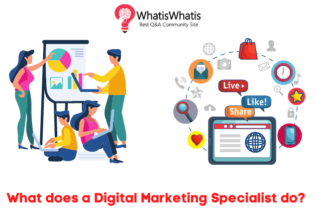 What does a Digital Marketing Specialist do?