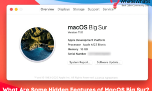 What Are Some Hidden Features of macOS Big Sur?