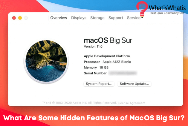 What Are Some Hidden Features of macOS Big Sur?