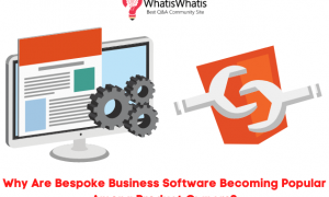 Why Are Bespoke Software Development Becoming Popular Among Product Owners?