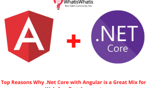 Top Reasons Why .Net Core with Angular is a Great Mix for Web App Development