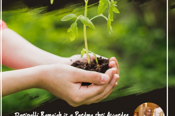 Why Being A Part Of The Go Green Challenge Is Your Responsibility?