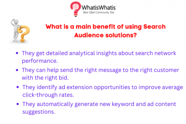 What is a main benefit of using Search Audience solutions?