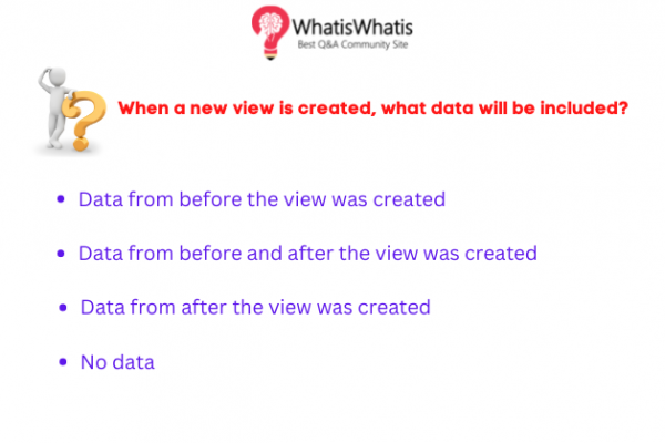 When a new view is created, what data will be included?