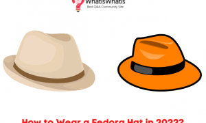 How To Wear a Fedora Hat in 2022?