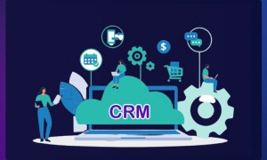 What Can a CRM Provider Accomplish for Your Worldwide Business?