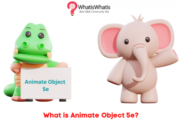 What is Animate Object 5e?