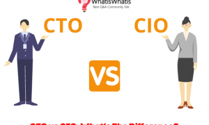 CTO vs CIO: What’s The Difference