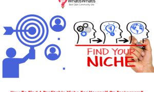 How To Find A Profitable Niche For Yourself On Instagram?